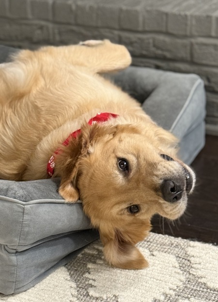 Entry image for Douglas . Clicking this image will show a larger photo