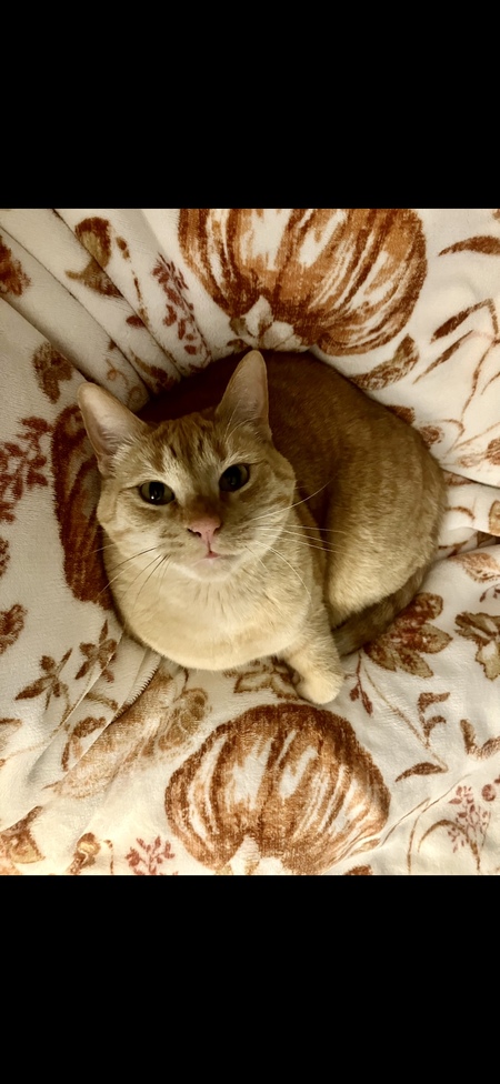 Entry image for Ariel. Clicking this image will show a larger photo