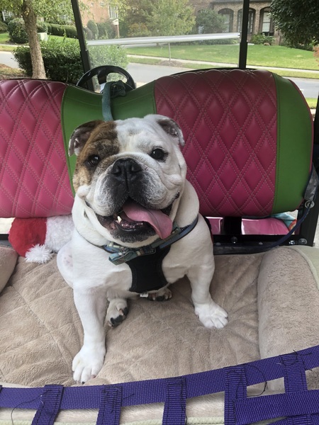 Entry image for Miller. Clicking this image will show a larger photo