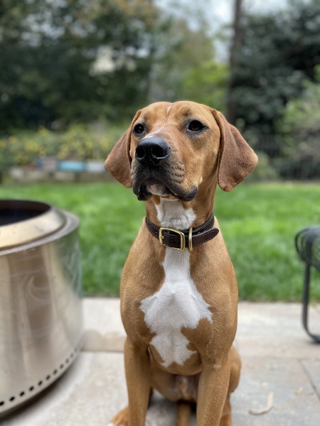 Entry image for Ashe. Clicking this image will show a larger photo