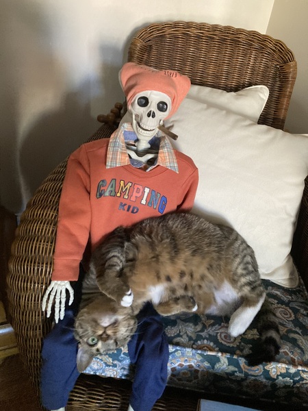 Entry image for Sammi. Clicking this image will show a larger photo