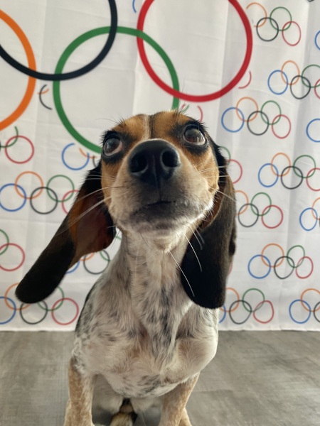 Entry image for Millie B.. Clicking this image will show a larger photo