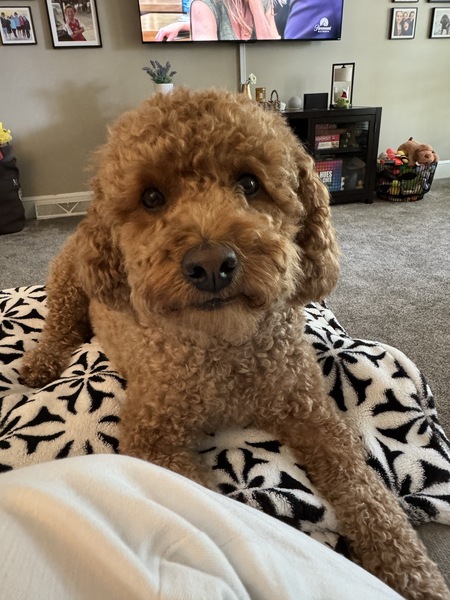 Tucker