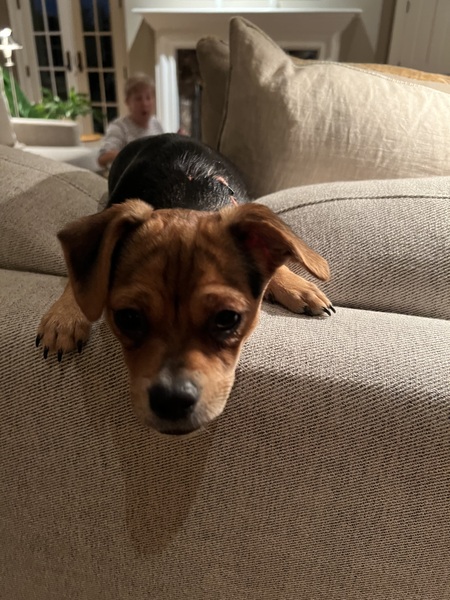 Ellie Mae