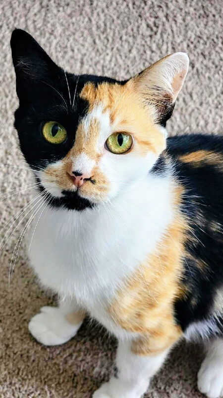 Chloe