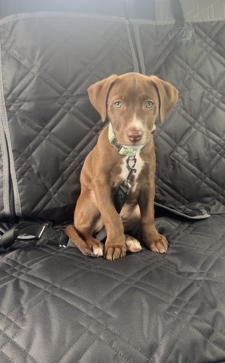 Winston