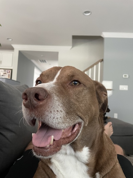 Dallas