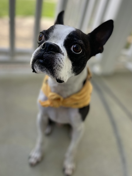 Buster