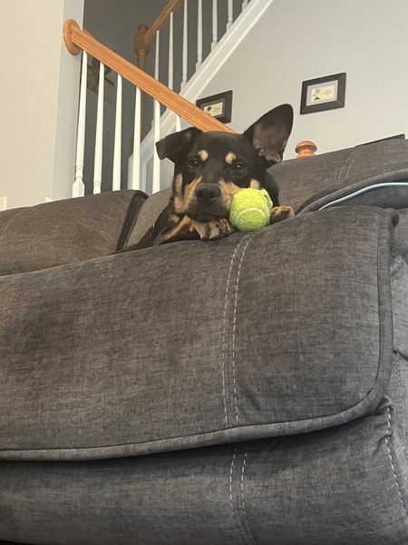 Billy