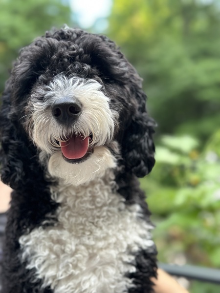 Tux Malcolm