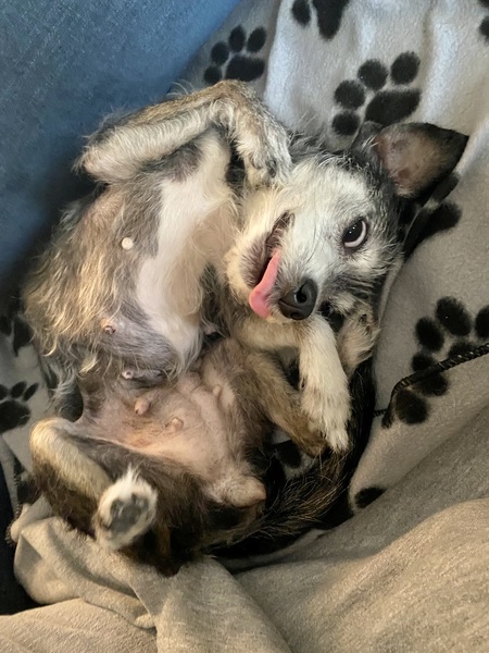 Matilda