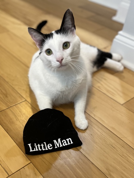 BB
