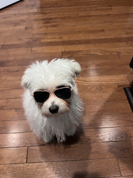 Cooper