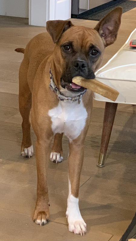 Sadie