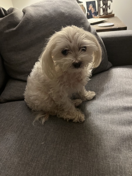 Zoe 