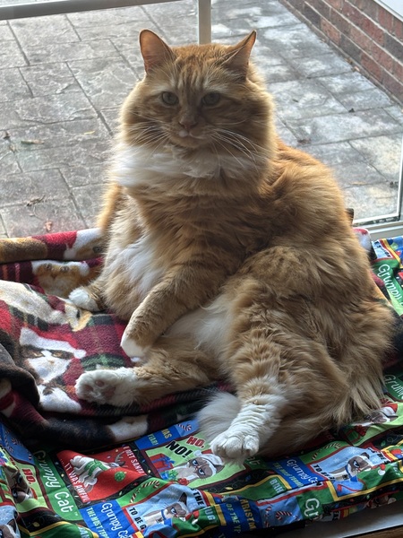 Felix