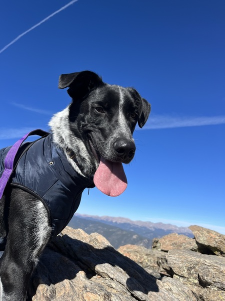 Rocky