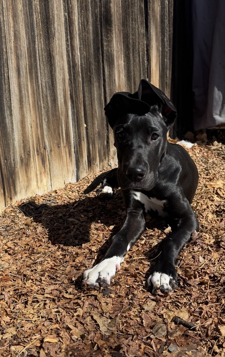 Axle