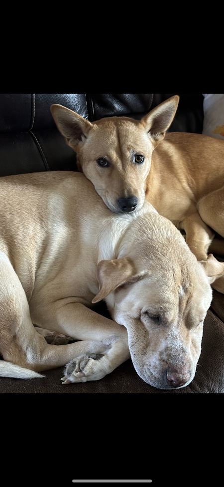 Dobby and Charlotte