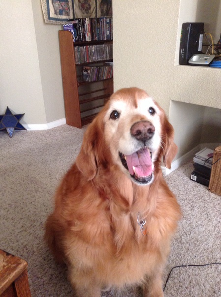 Sam