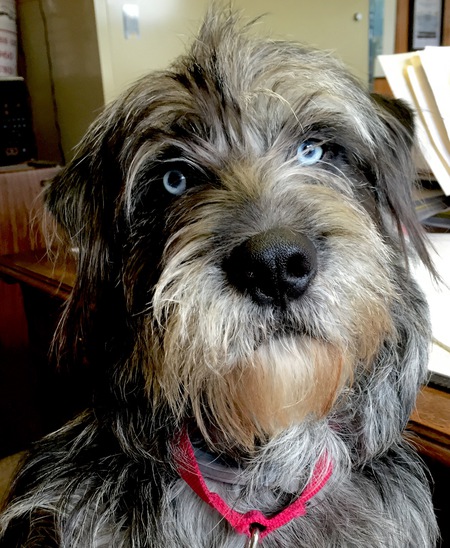 Fergus