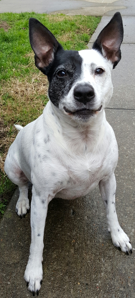 Tallulah