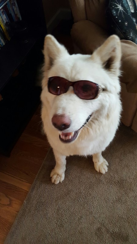 Big Fluff aka Sherlock
