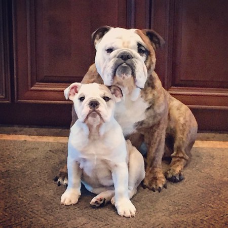 Walter & Willow