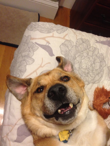 Truman 