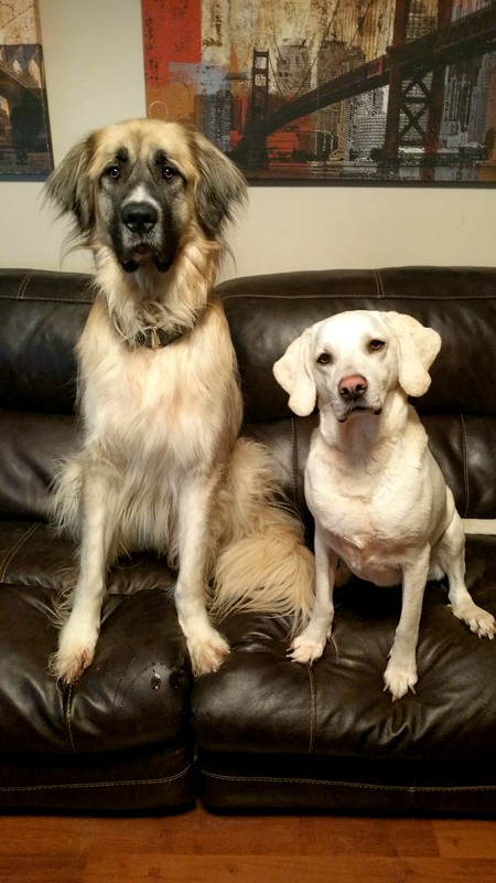 Jethro & Parker