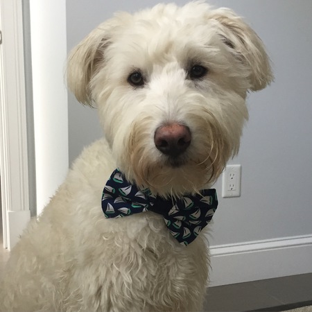 Gus
