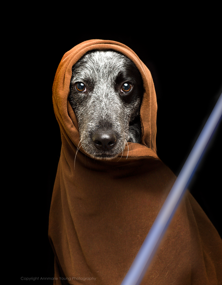 Entry image for Phineas Lucas . Clicking this image will show a larger photo