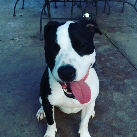 Otis