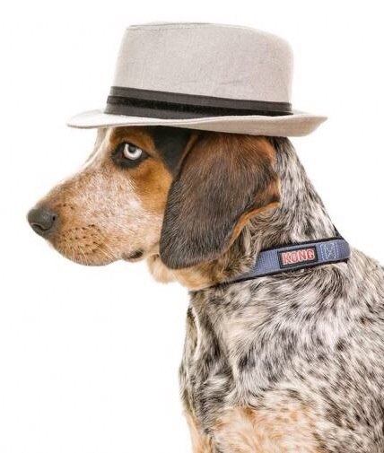 Milo