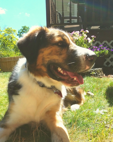 Max