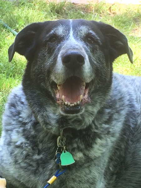 Mya