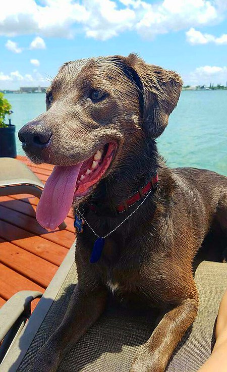 Max