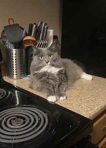Minerva