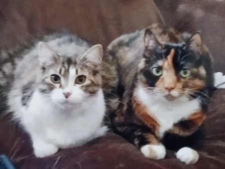 Evie and Nike