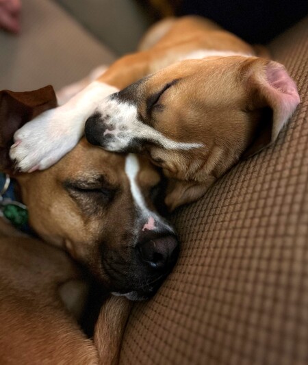 Tyson and Sisu