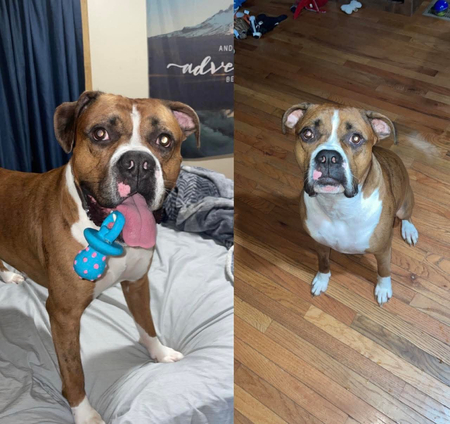 Tyson