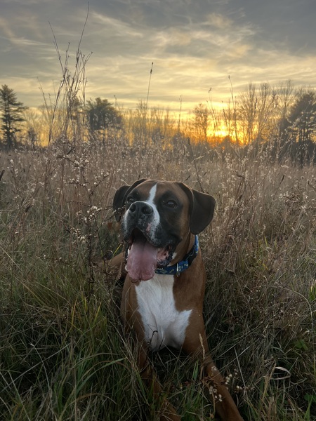 Max