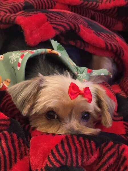 Mia