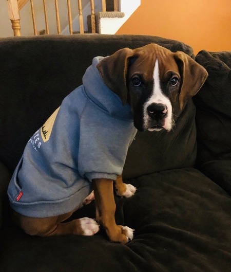 Max