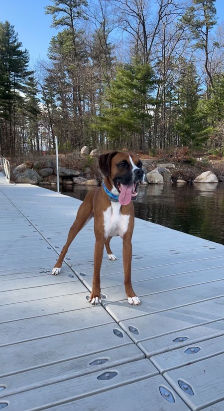 Max