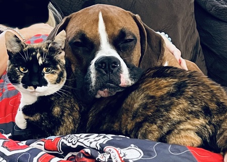 Max and Sima