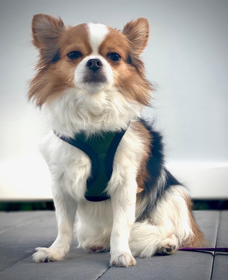 Charlie