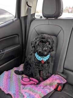 Roxy Mae