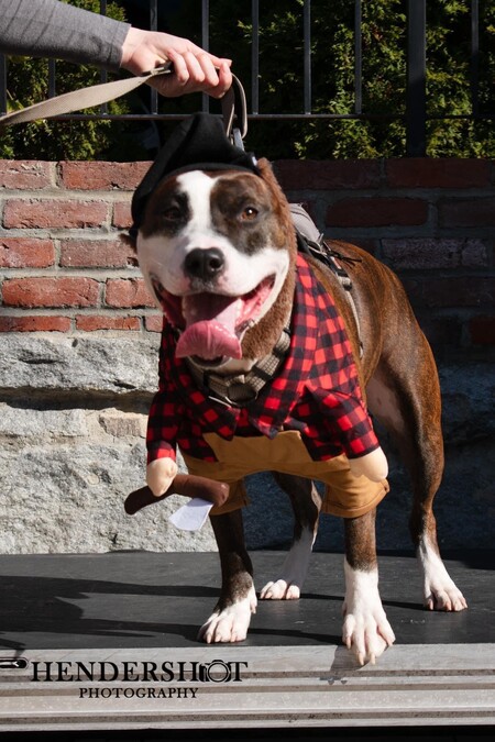Tonka