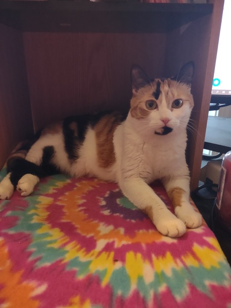 Freya